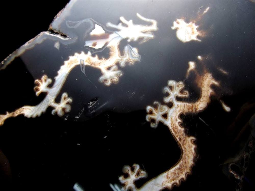 天珠 龍神天珠 双龍神 瑪瑙 置物