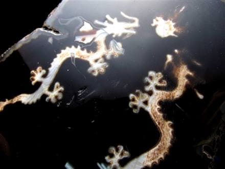 天珠 龍神天珠 双龍神 瑪瑙 置物