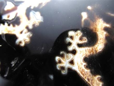 天珠 龍神天珠 双龍神 瑪瑙 置物