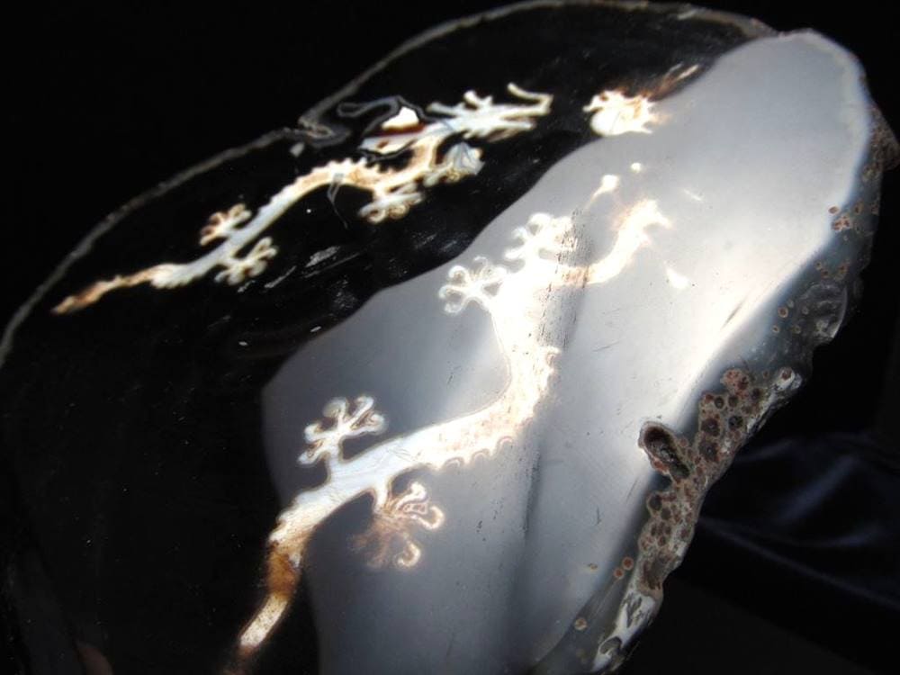 天珠 龍神天珠 双龍神 瑪瑙 置物