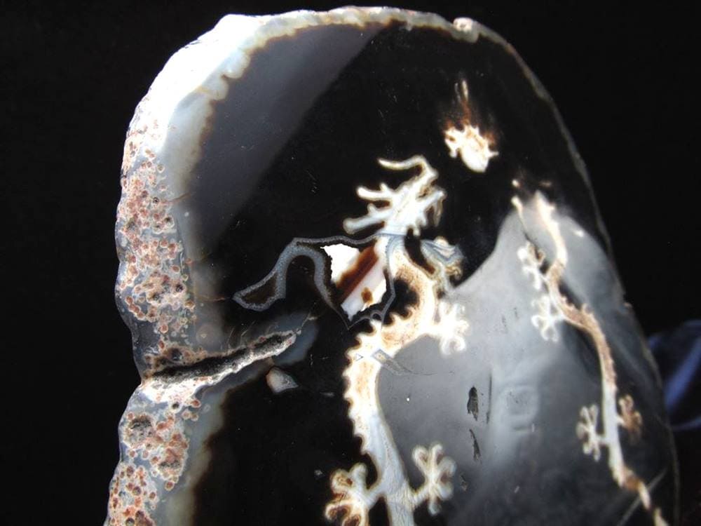 天珠 龍神天珠 双龍神 瑪瑙 置物