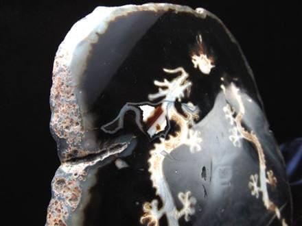 天珠 龍神天珠 双龍神 瑪瑙 置物