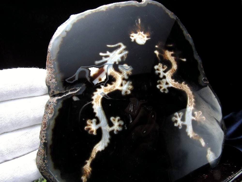 天珠 龍神天珠 双龍神 瑪瑙 置物