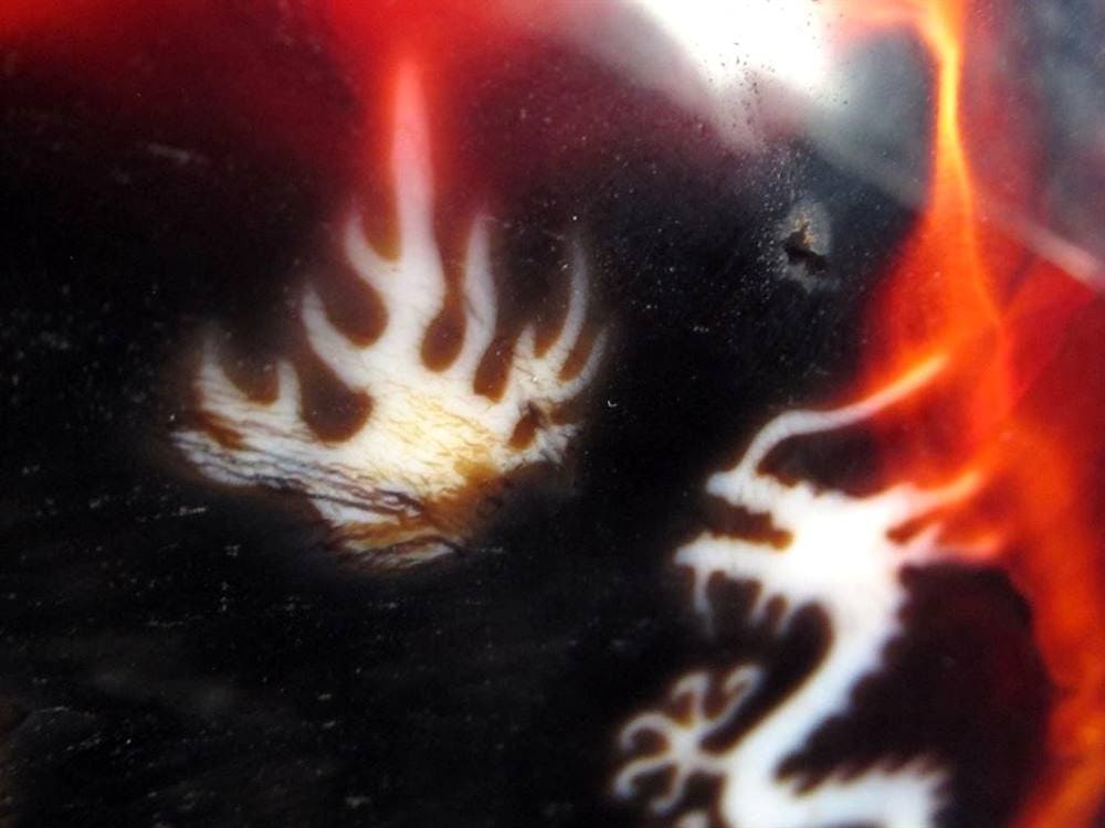 天珠 龍神天珠 双龍神 瑪瑙 置物