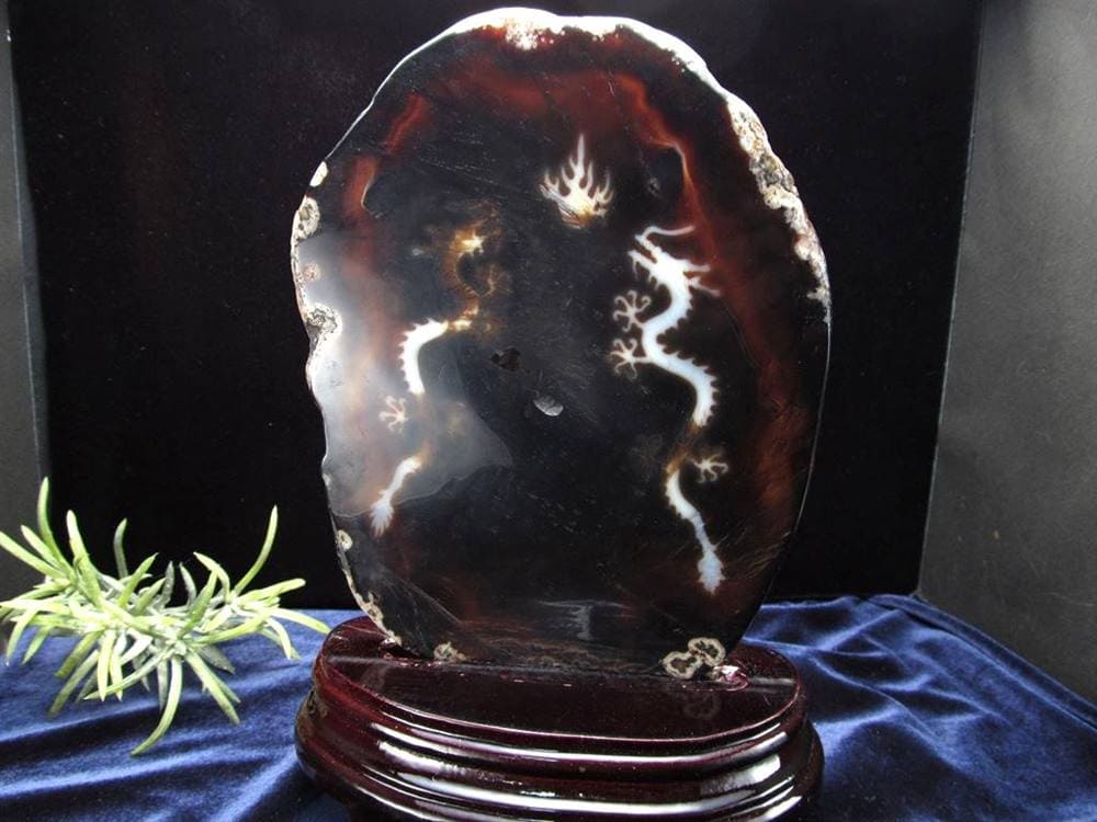 天珠 龍神天珠 双龍神 瑪瑙 置物