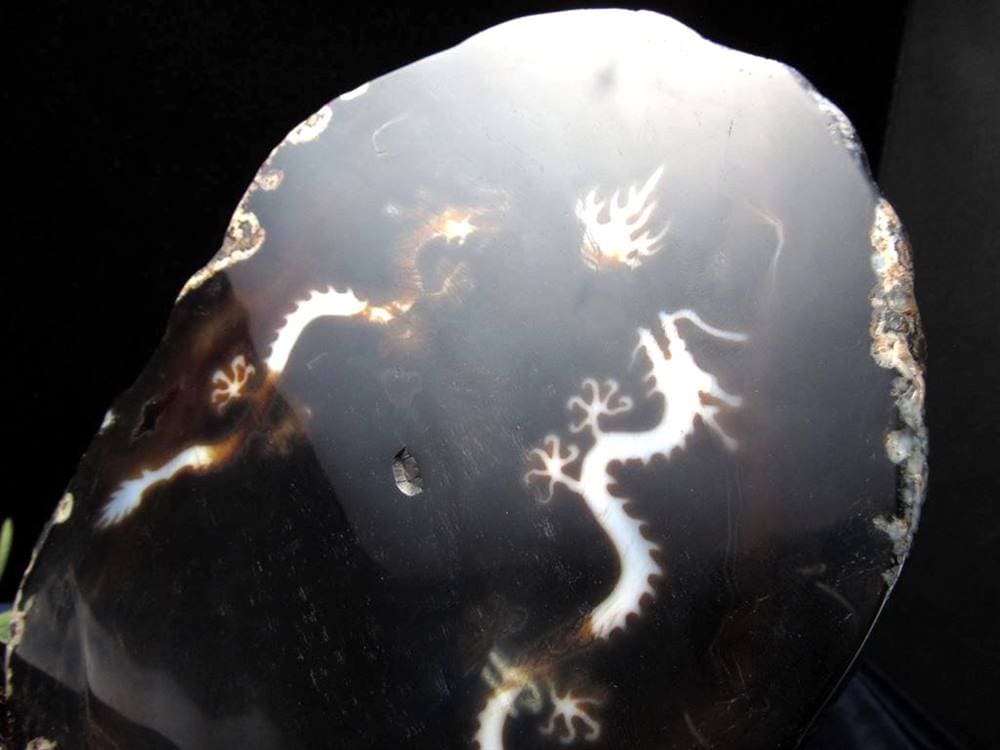 天珠 龍神天珠 双龍神 瑪瑙 置物