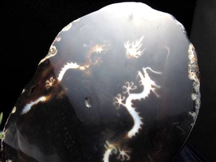 天珠 龍神天珠 双龍神 瑪瑙 置物