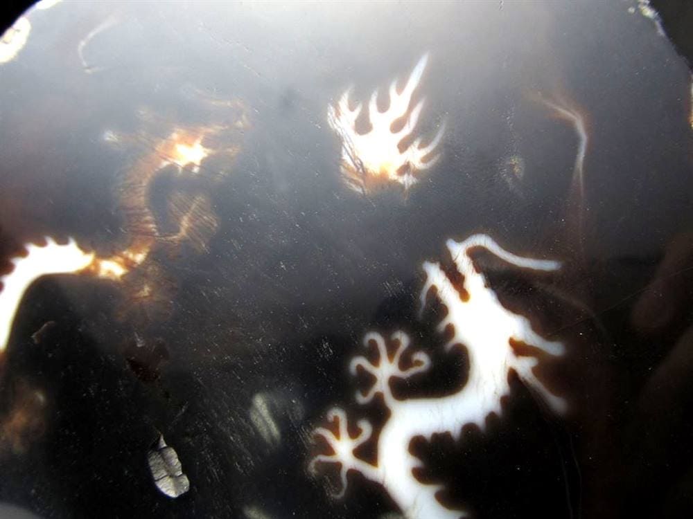 天珠 龍神天珠 双龍神 瑪瑙 置物