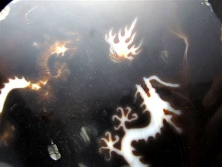 天珠 龍神天珠 双龍神 瑪瑙 置物