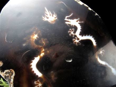 天珠 龍神天珠 双龍神 瑪瑙 置物