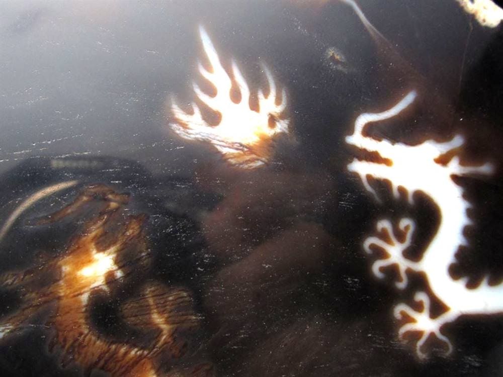 天珠 龍神天珠 双龍神 瑪瑙 置物