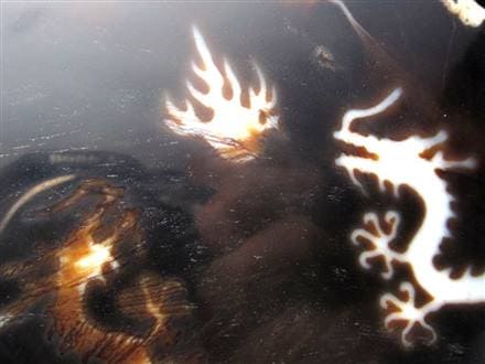 天珠 龍神天珠 双龍神 瑪瑙 置物