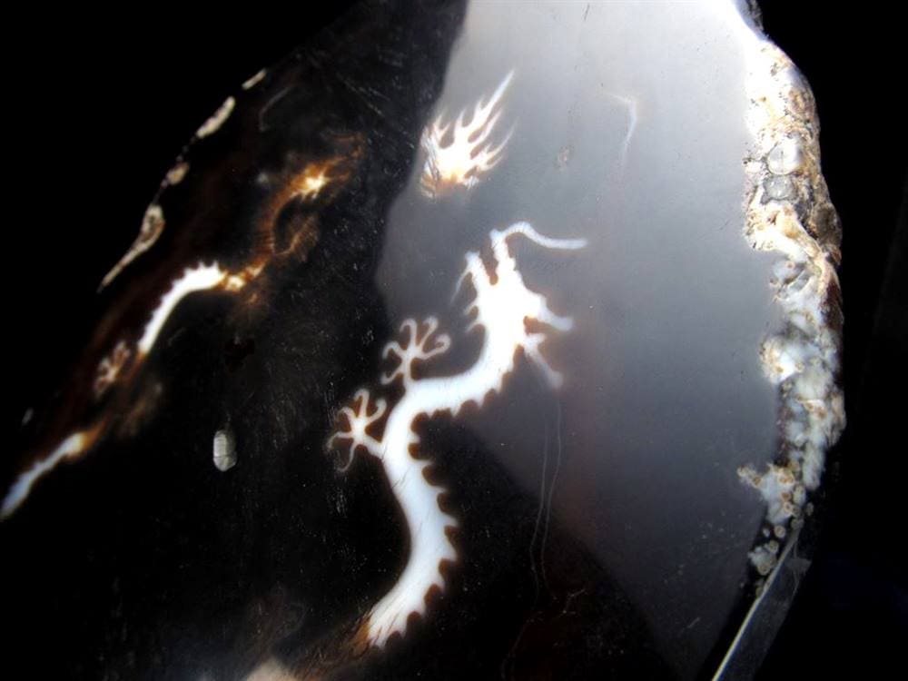 天珠 龍神天珠 双龍神 瑪瑙 置物