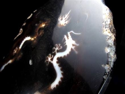 天珠 龍神天珠 双龍神 瑪瑙 置物