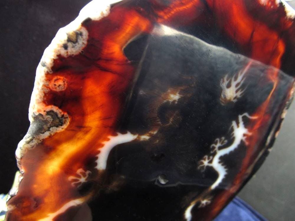 天珠 龍神天珠 双龍神 瑪瑙 置物