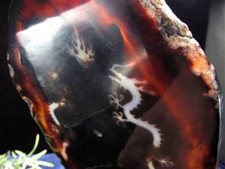 天珠 龍神天珠 双龍神 瑪瑙 置物