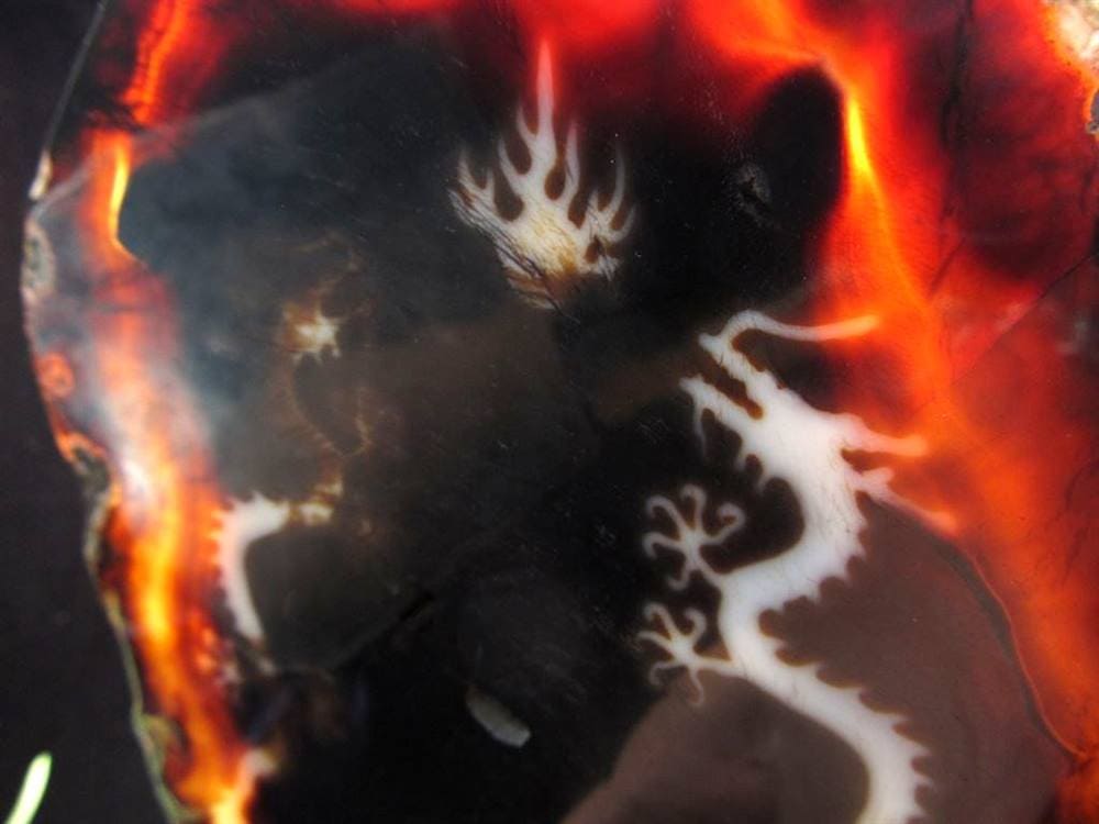 天珠 龍神天珠 双龍神 瑪瑙 置物