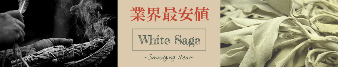 ۥ磻ȥ¥饤ɥХʡ