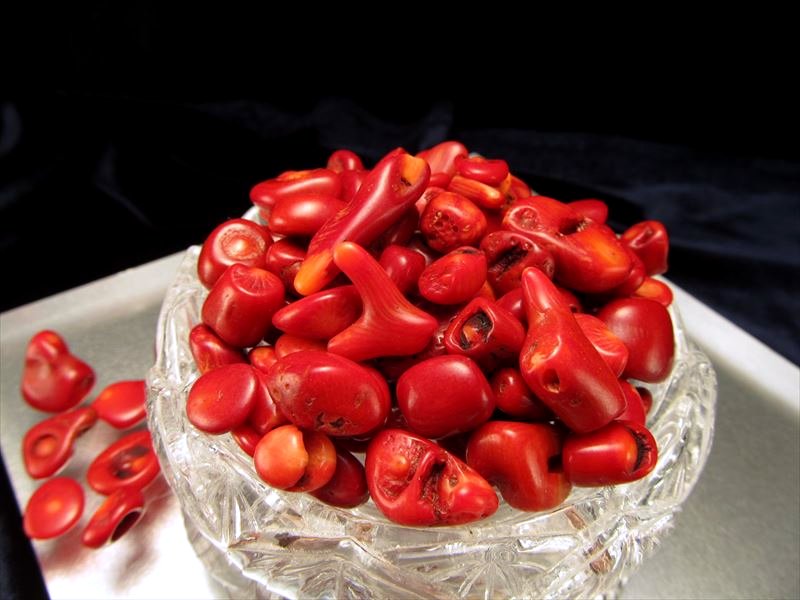 レッドコーラル