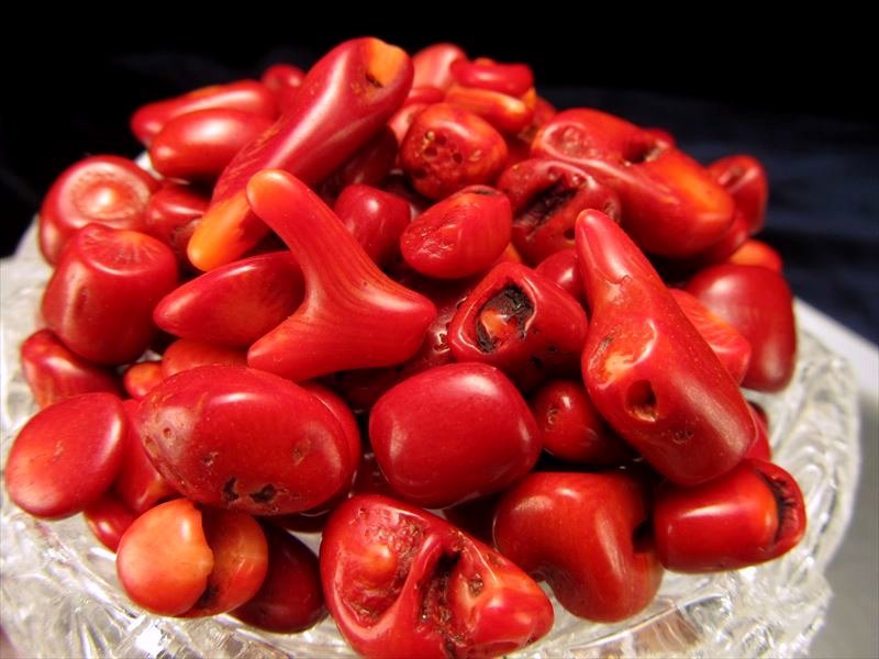 レッドコーラル