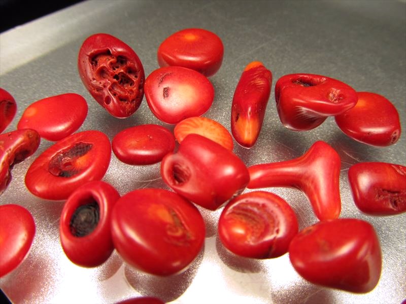 レッドコーラル