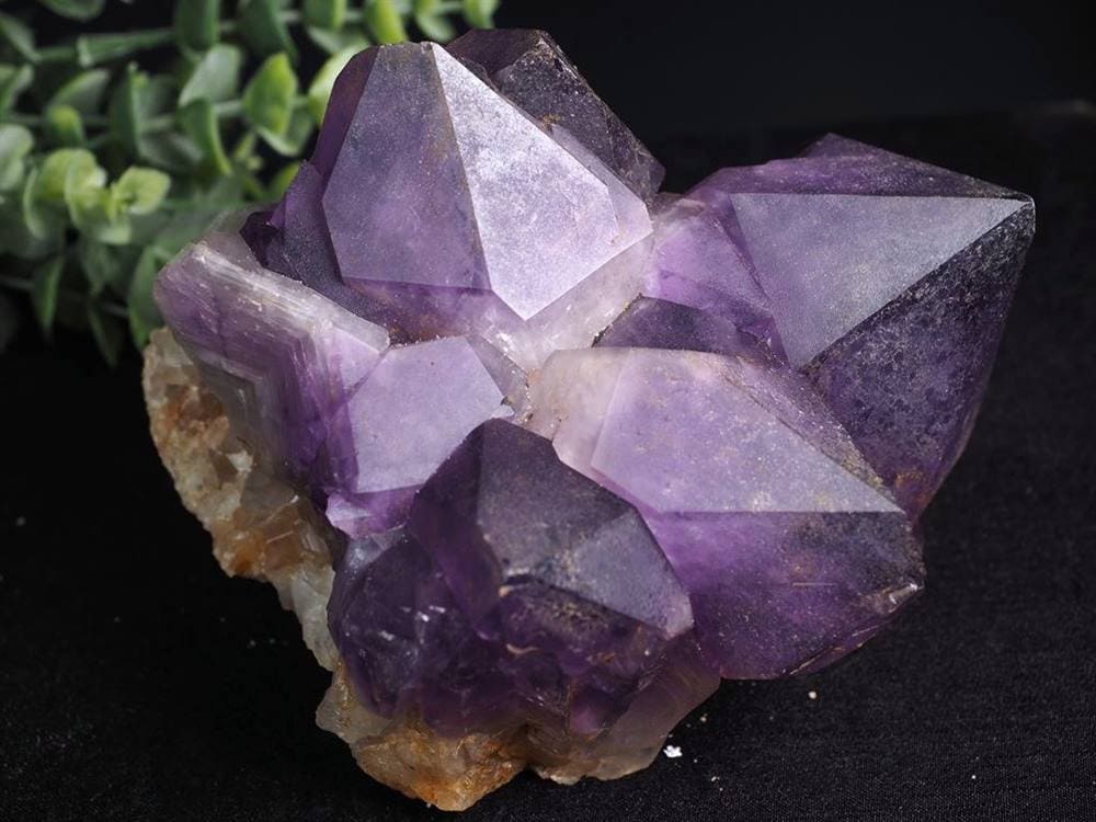 アメジストクラスター 紫水晶 アナイ鉱山 アメジスト 誕生石