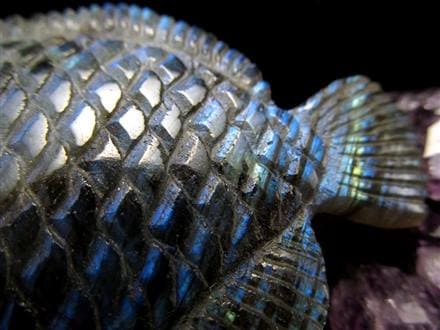 ディスカス 置物 ラブラドライト 熱帯魚の王様 彫刻