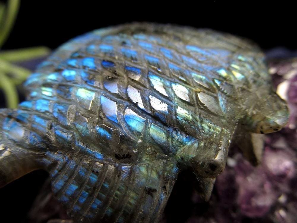 ディスカス 置物 ラブラドライト 熱帯魚の王様 彫刻