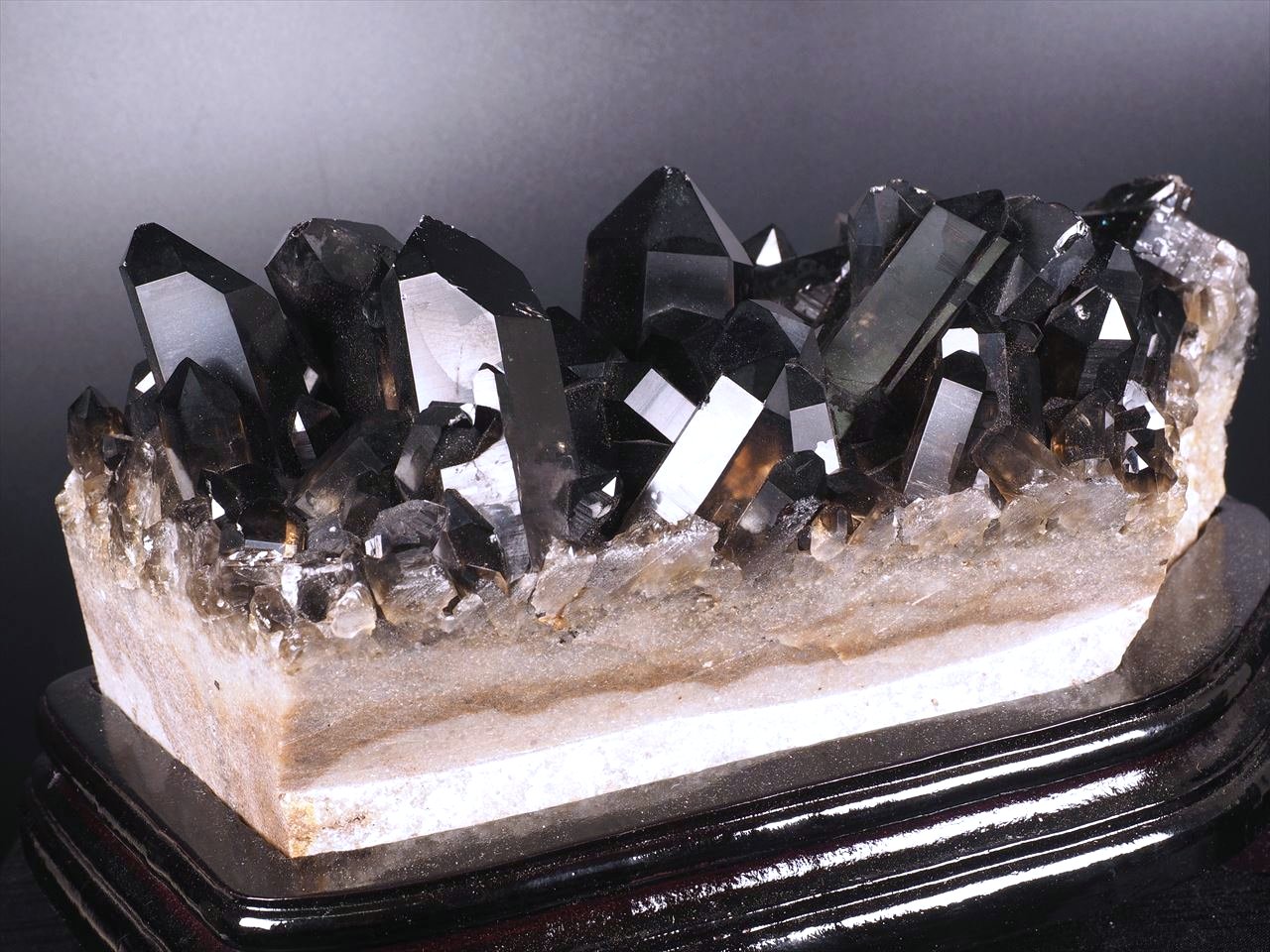 ◇無数のポイントが生えるモリオンクラスター◇貴重な群生黒水晶