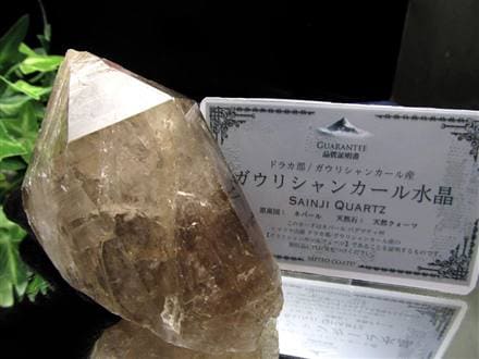 ヒマラヤ スモーキー クォーツ ガウリシャンカール 原石 ポイント