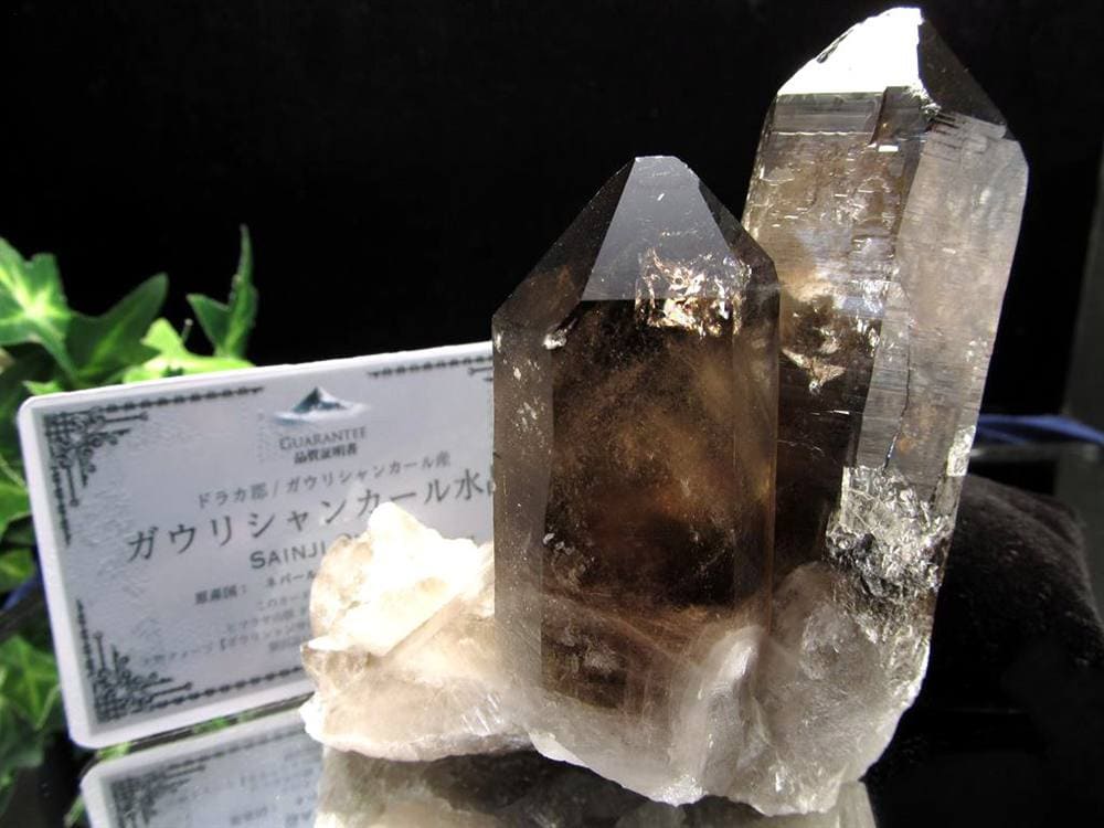 ヒマラヤ スモーキー クォーツ ガウリシャンカール 原石 ポイント