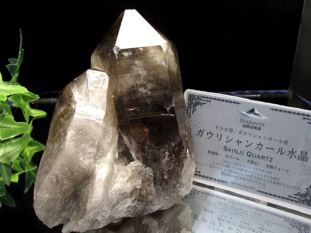 ヒマラヤ スモーキー クォーツ ガウリシャンカール 原石 ポイント