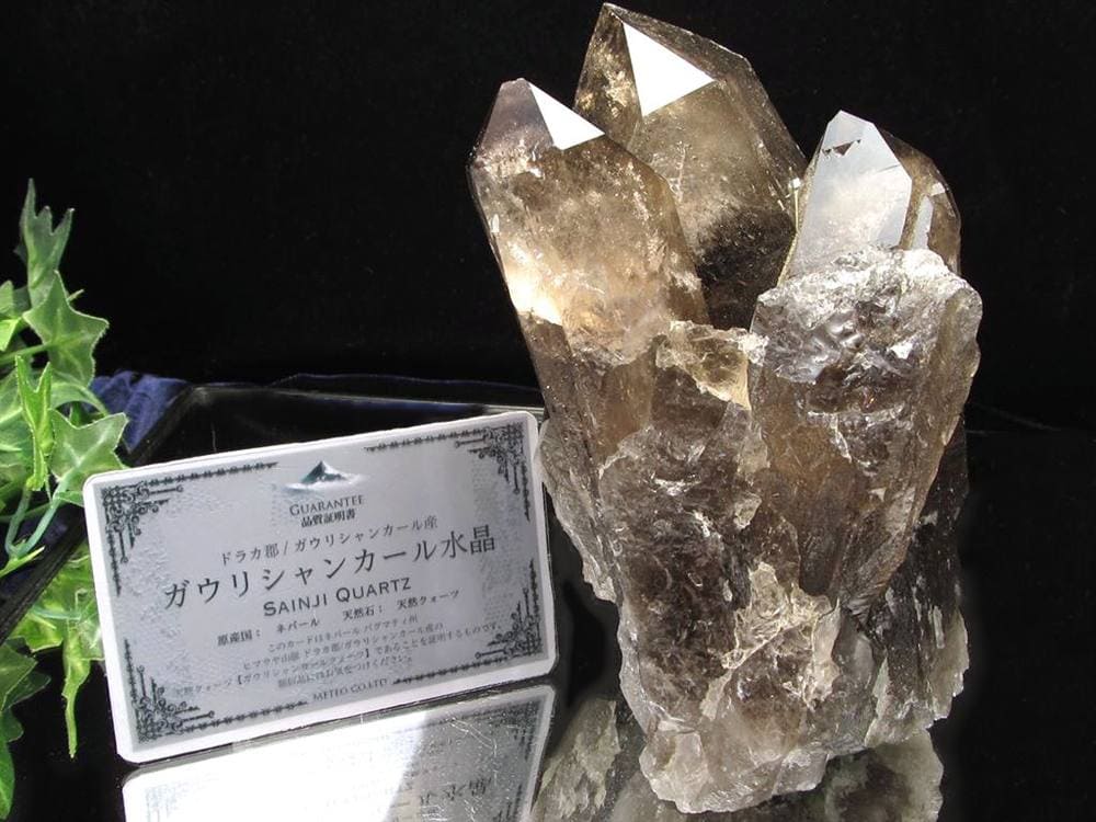 ヒマラヤ スモーキー クォーツ ガウリシャンカール 原石 ポイント