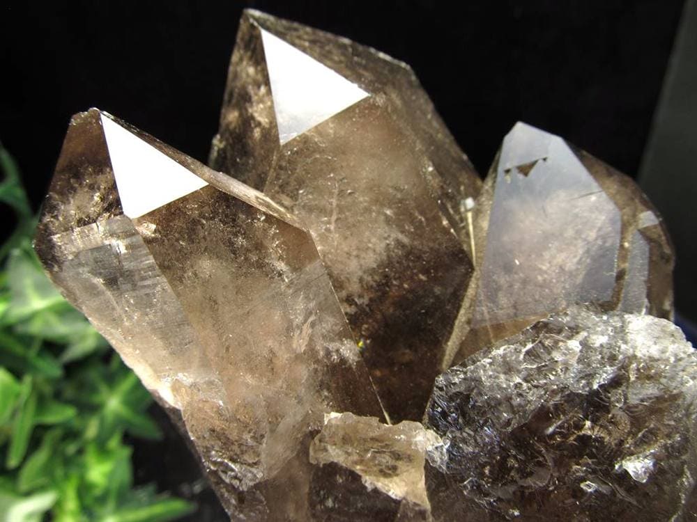 ヒマラヤ スモーキー クォーツ ガウリシャンカール 原石 ポイント