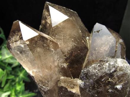 ヒマラヤ スモーキー クォーツ ガウリシャンカール 原石 ポイント