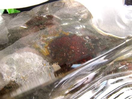 四神獣 ガーデンクォーツ 庭園水晶 白虎 彫刻 置物