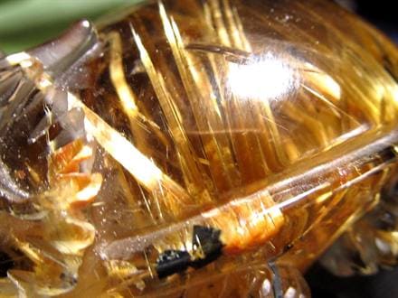 ゴールドルチルクォーツ 龍亀 ロングイ 金針 水晶 彫刻 置物 財運 瑞獣