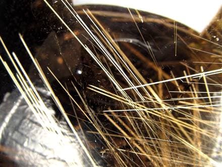 ゴールドルチルクォーツ 丸玉 スフィア 金針水晶 ルチル