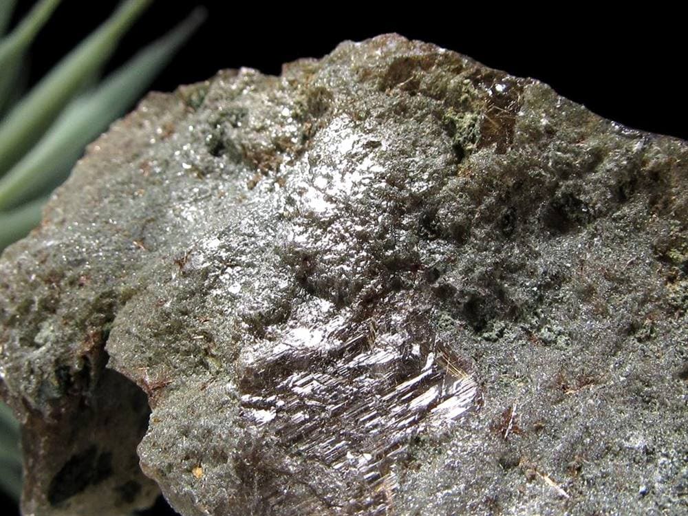 マニハール産 ヒマラヤ マニハール産水晶 水晶クラスター 浄化