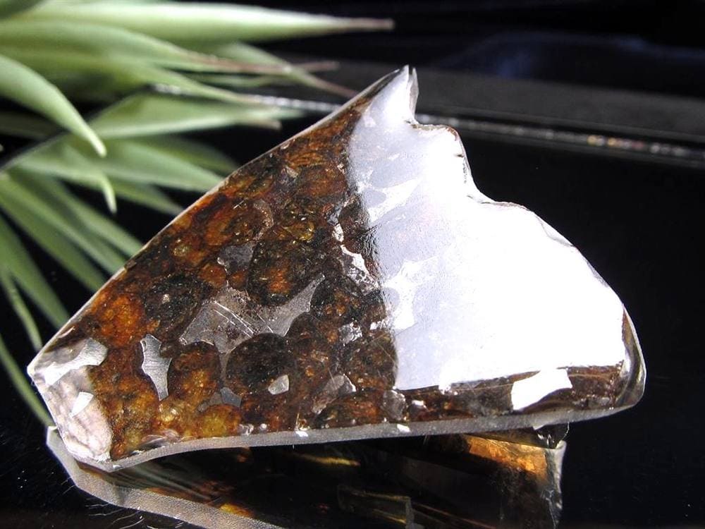 セリコ隕石 パラサイト隕石 プレート SERICHO 石鉄隕石