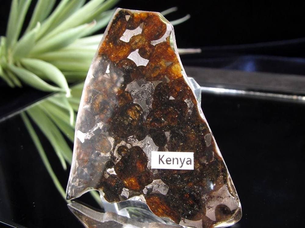 セリコ隕石 パラサイト隕石 プレート SERICHO 石鉄隕石