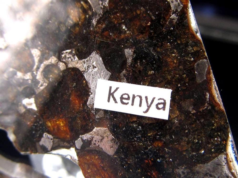 セリコ隕石 パラサイト隕石 プレート SERICHO 石鉄隕石