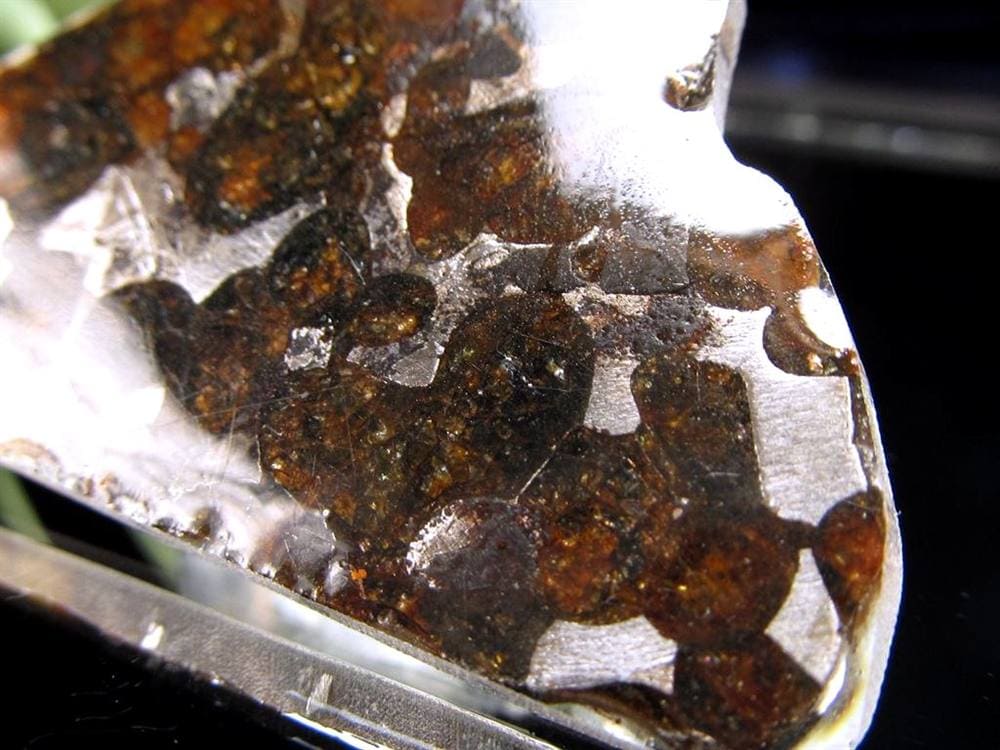 セリコ隕石 パラサイト隕石 プレート SERICHO 石鉄隕石