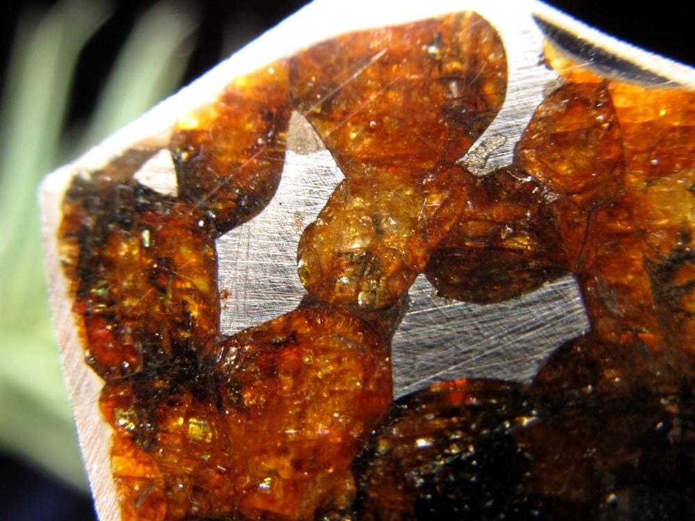 セリコ隕石 パラサイト隕石 プレート SERICHO 石鉄隕石