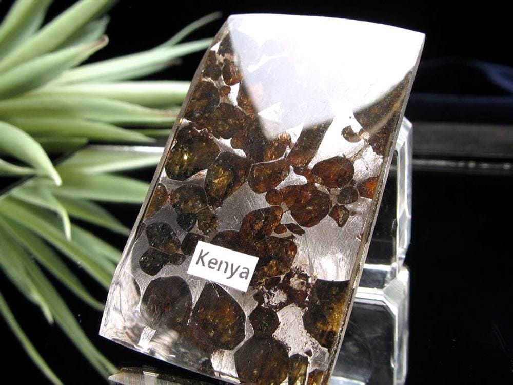 セリコ隕石 パラサイト隕石 プレート SERICHO 石鉄隕石