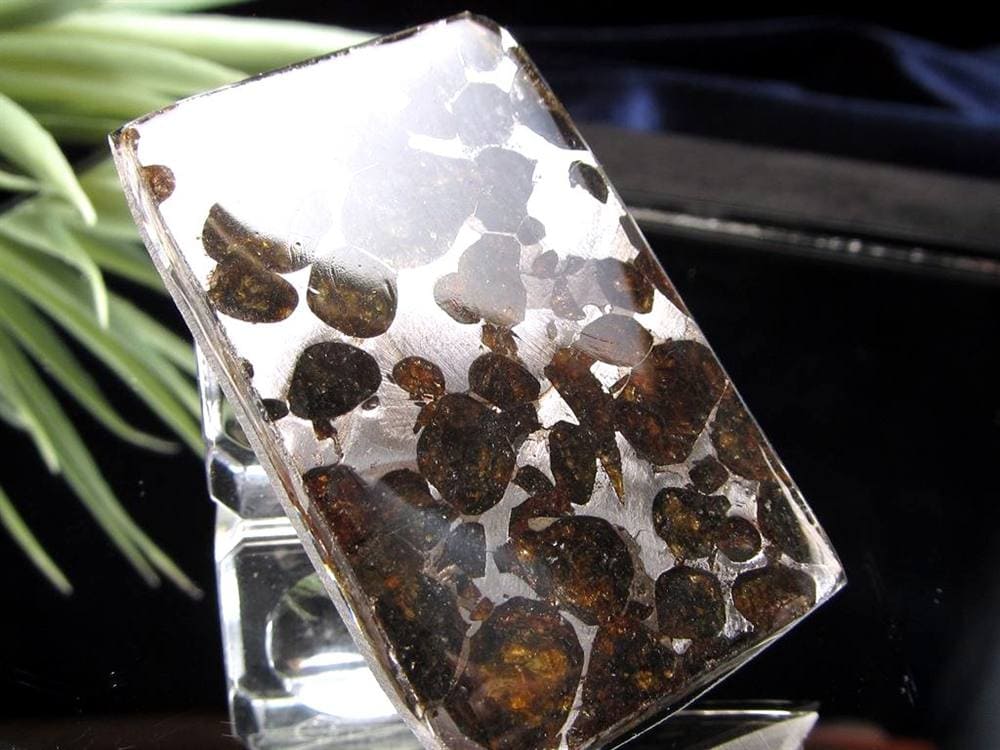 セリコ隕石 パラサイト隕石 プレート SERICHO 石鉄隕石