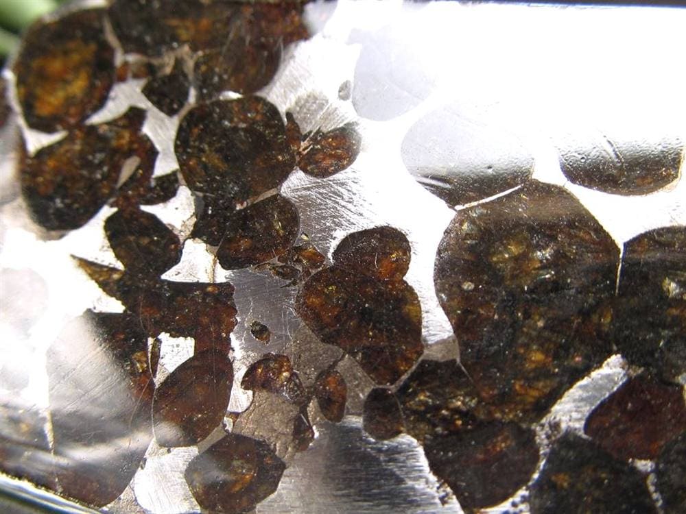 セリコ隕石 パラサイト隕石 プレート SERICHO 石鉄隕石