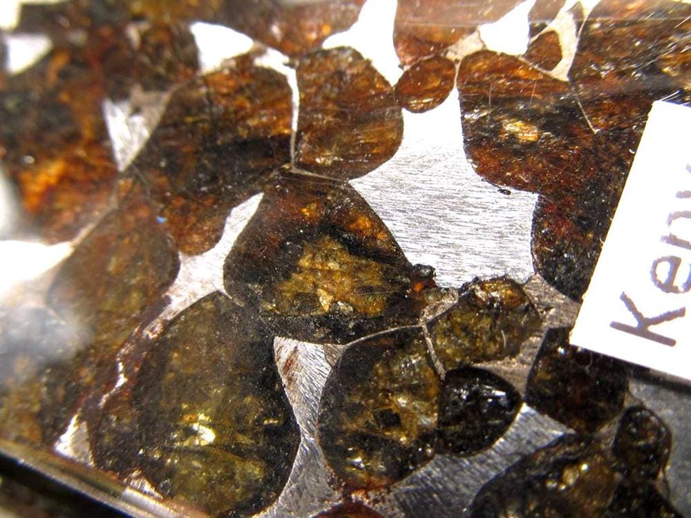 セリコ隕石 パラサイト隕石 プレート SERICHO 石鉄隕石