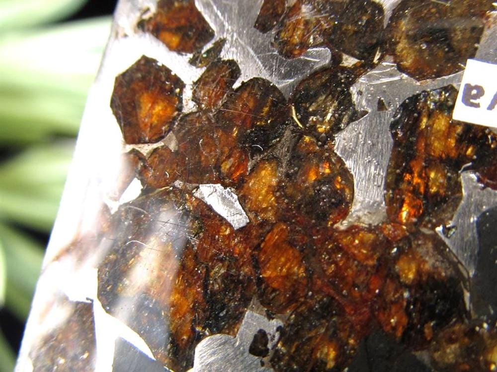 セリコ隕石 パラサイト隕石 プレート SERICHO 石鉄隕石