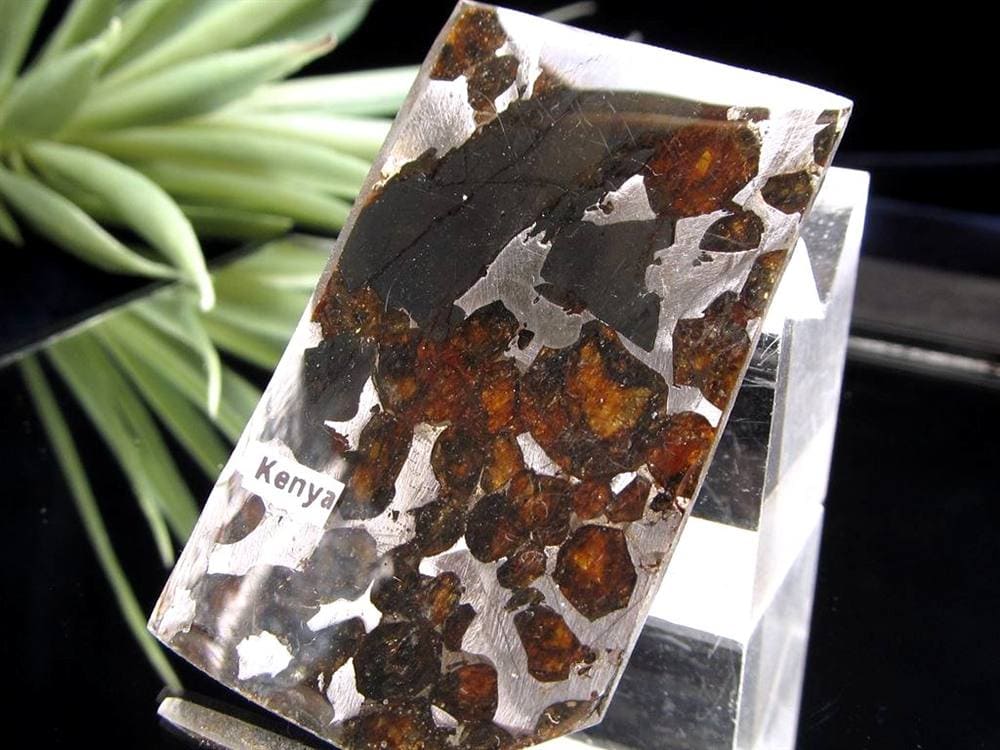 セリコ隕石 パラサイト隕石 プレート SERICHO 石鉄隕石